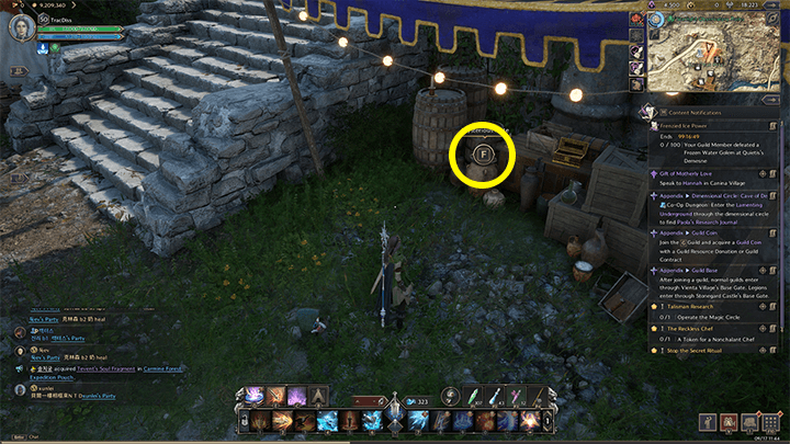 Throne and Liberty - Ariella