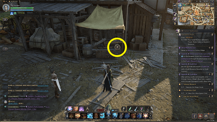 Throne and Liberty - The Cruelest Festival in the World