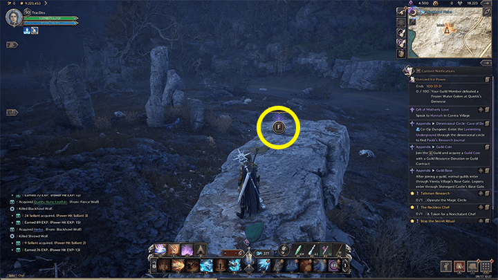 Throne and Liberty - Old Intelligence Record 89-1