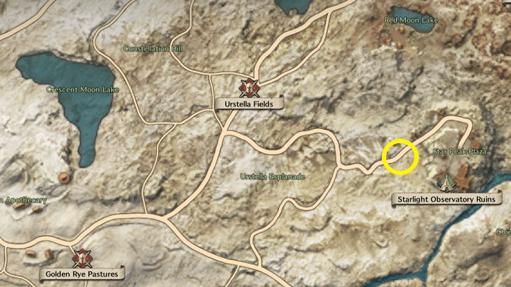 Throne and Liberty - Ariella