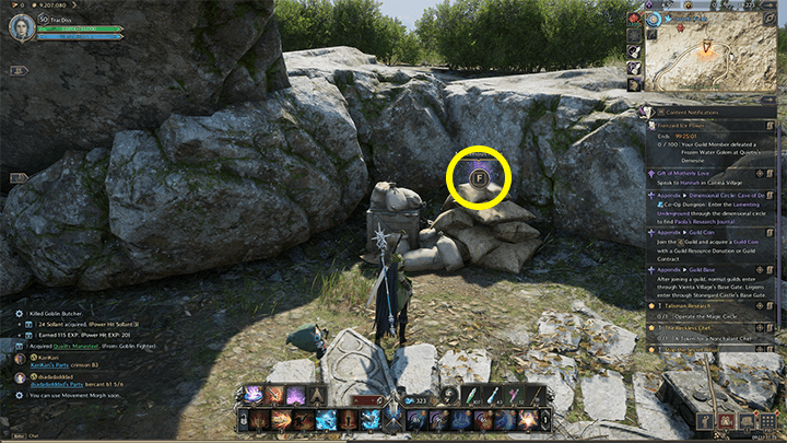 Throne and Liberty - Ariella