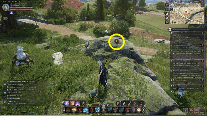 Throne and Liberty - Ariella