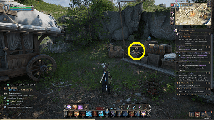 Throne and Liberty - Ariella