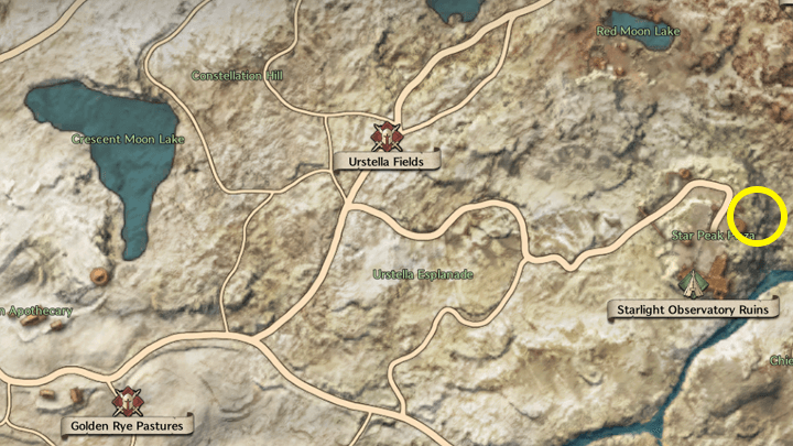 Throne and Liberty - One-Eyed Hawk!