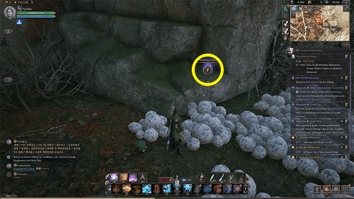 Throne and Liberty - The Resistance Combat Manual 4