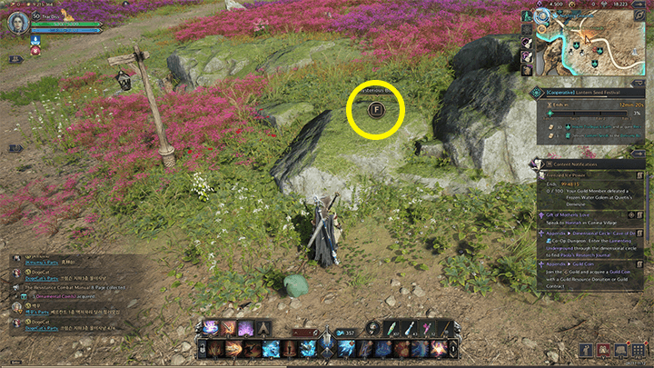 Throne and Liberty - The Resistance Combat Manual 7