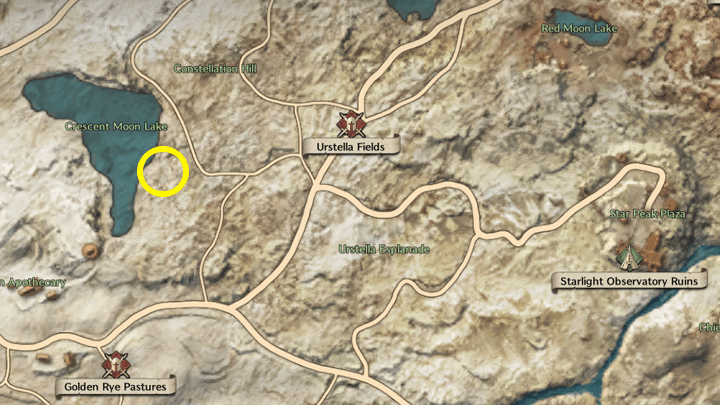 Throne and Liberty - The Resistance Combat Manual 2