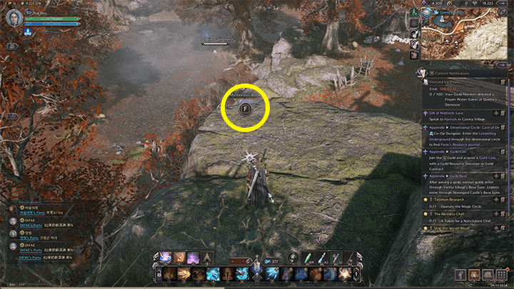 Throne and Liberty - The Resistance Combat Manual 5