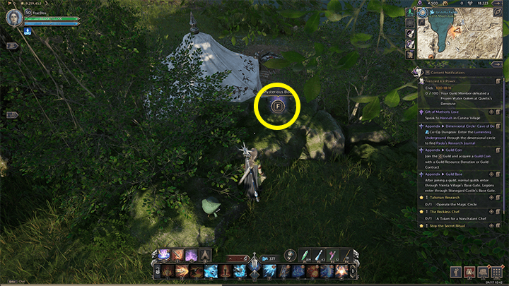 Throne and Liberty - The Resistance Combat Manual 2