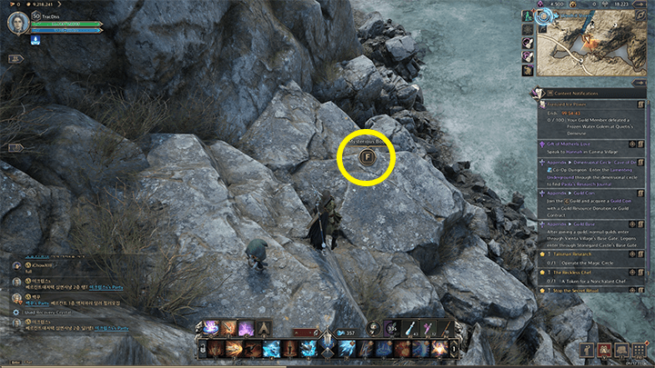 Throne and Liberty - The Resistance Combat Manual 6