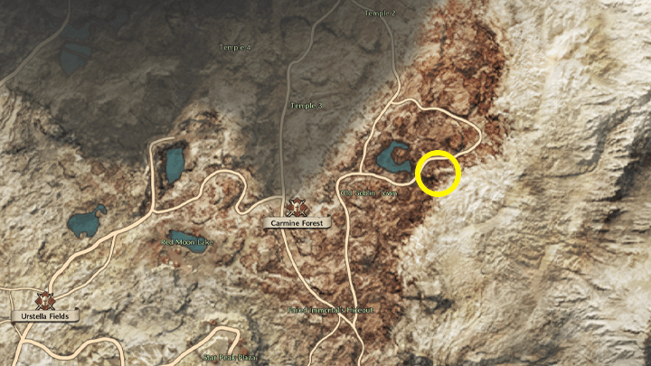 Throne and Liberty - The Resistance Combat Manual 5