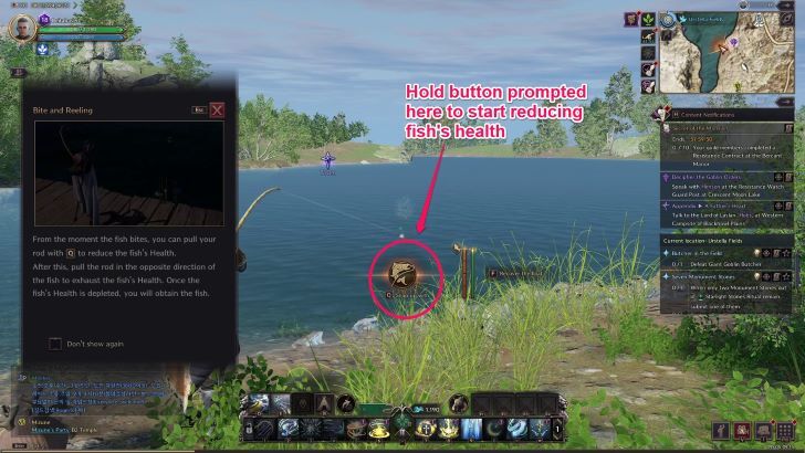 Throne and Liberty - Snap up Fish