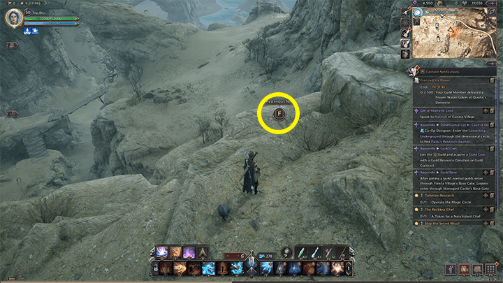 Throne and Liberty - A Guide for Desert Travelers 3