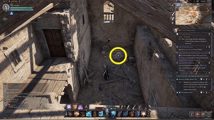 Throne and Liberty - A Guide for Desert Travelers 2