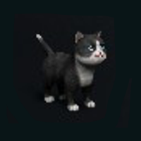 Extradimensional Cat - Good Fortune