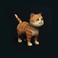 Extradimensional Cat - Heavy Ginger
