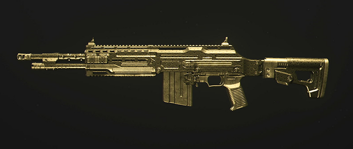 Modern Warfare 3 (MW3) - Gilded DTIR 30-06