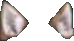 Wolven Ears Icon