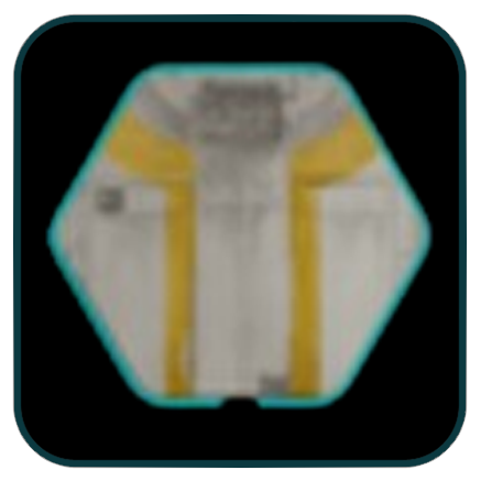 Amber Detail Finish Image