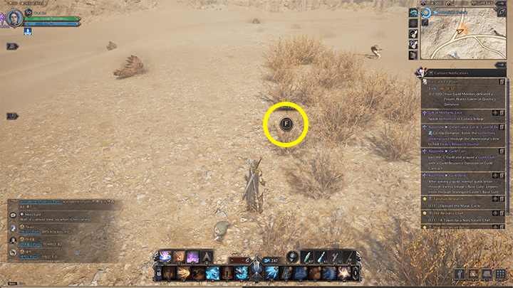 Throne and Liberty - Regarding Moonlight Desert Merchant Groups 3