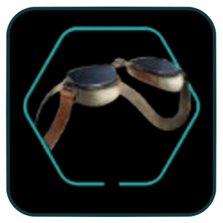 Dust Goggles