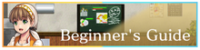 Beginner