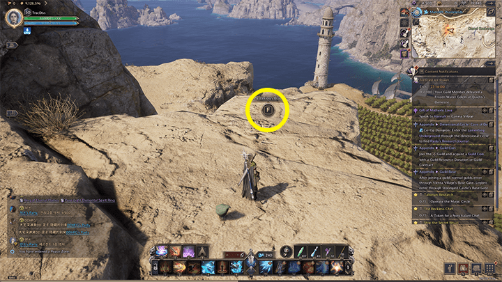 Throne and Liberty - Basic Amitoi Mechanics 1