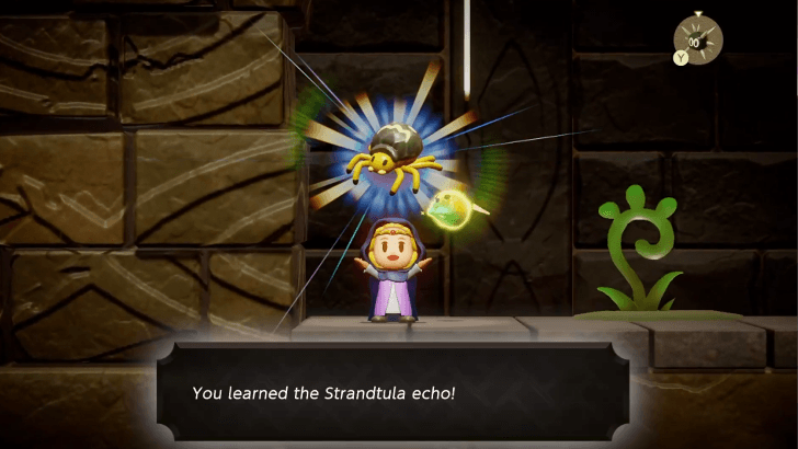 Strandtula Echo obtained