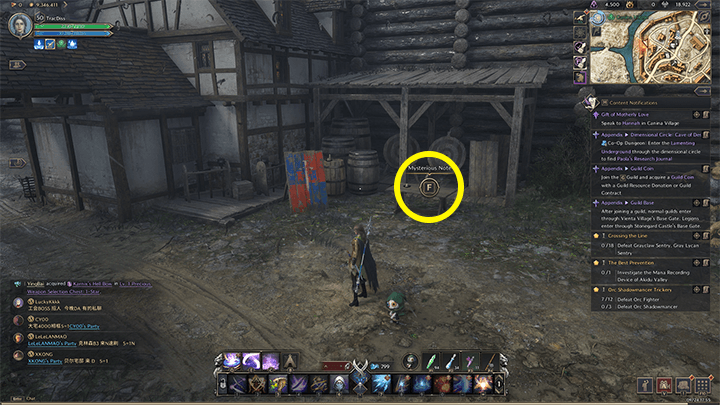 Throne and Liberty - Eastern Guard Post Work Log 2