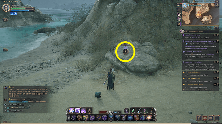 Throne and Liberty - To the Pirate King Adelico 3