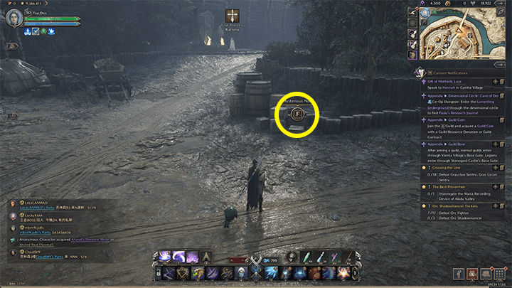 Throne and Liberty - Eastern Guard Post Work Log 1