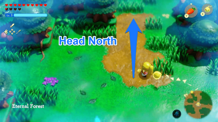 Head North