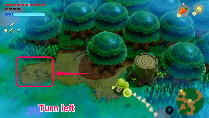 First Set of Tracks, Turn Left