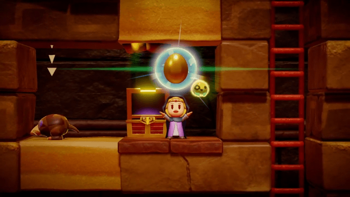 The Legend of Zelda Echoes of Wisdom (EoW) Dig Holes or Climb Down Ladders