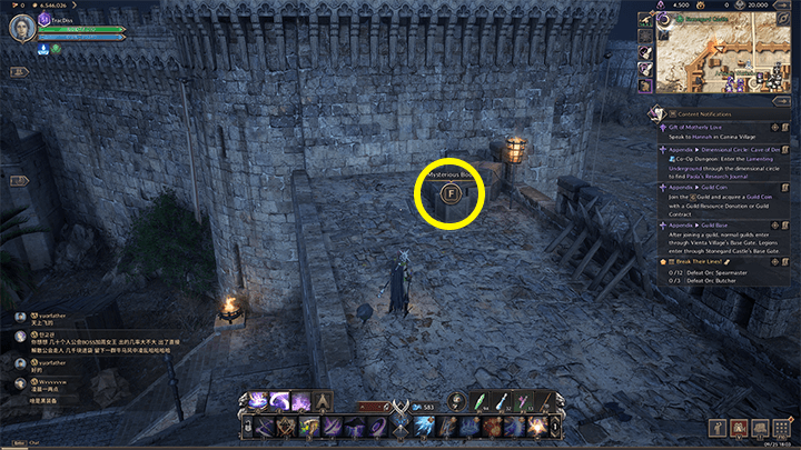 Throne and Liberty - The Great Siege 3