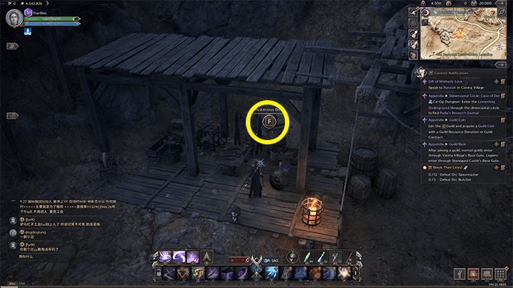 Throne and Liberty - The End of Fernan the Tyrant 2