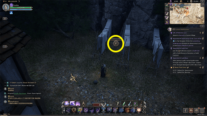 Throne and Liberty - The End of Fernan the Tyrant 3