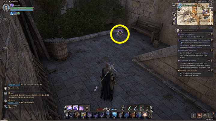 Throne and Liberty - Go Your Own Way! Jacque Hander