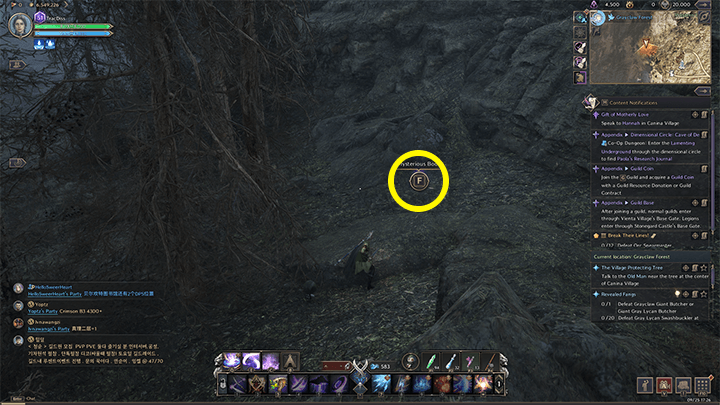 Throne and Liberty - Discovering Stonegard