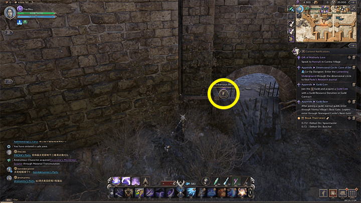 Throne and Liberty - The End of Fernan the Tyrant 1