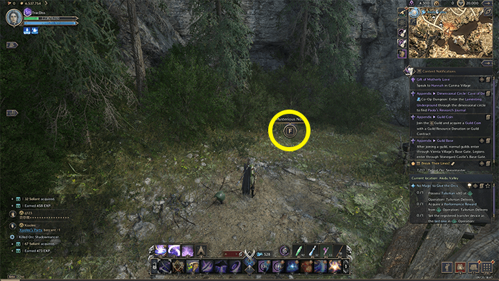 Throne and Liberty - Diary of a Young Orc 2