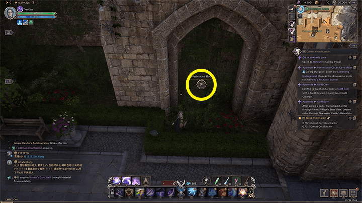 Throne and Liberty - Go Your Own Way! Jacque Hander