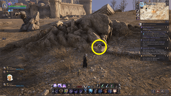 Throne and Liberty - Introduction to Golem Research 4