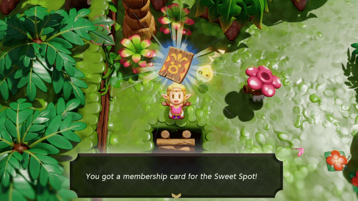 membership card from Blossu