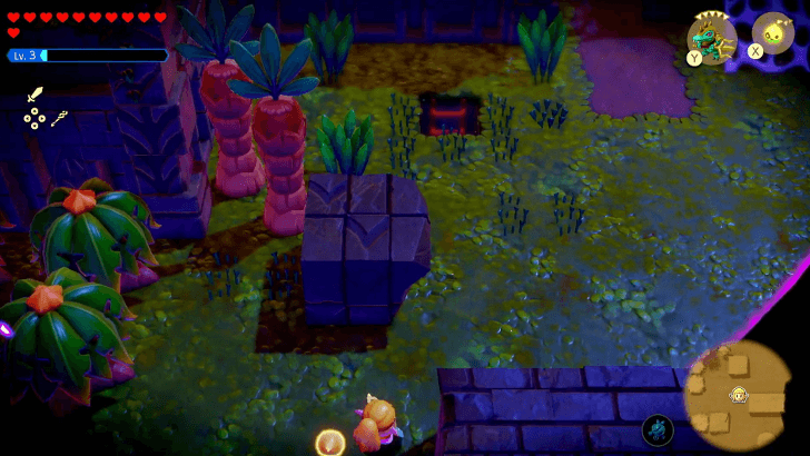 hidden ladder beside Faron Temple