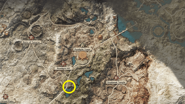 Throne and Liberty - Venelux