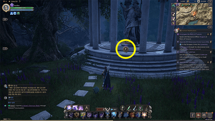 Throne and Liberty - Brandon