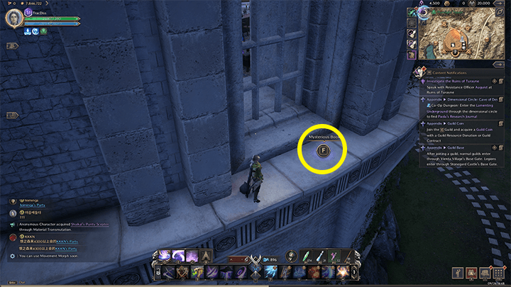 Throne and Liberty - Purelight Tower History Tome 2