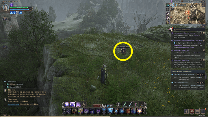 Throne and Liberty - Venelux