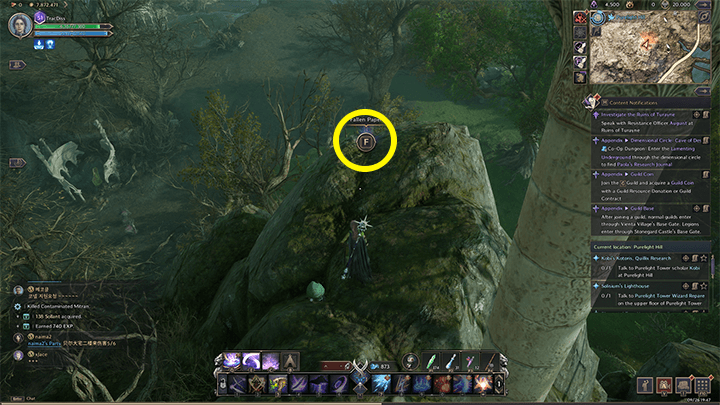 Throne and Liberty - Brandon